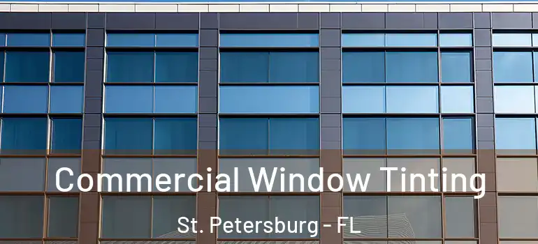 Commercial Window Tinting St. Petersburg - FL