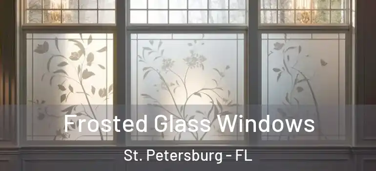  Frosted Glass Windows St. Petersburg - FL