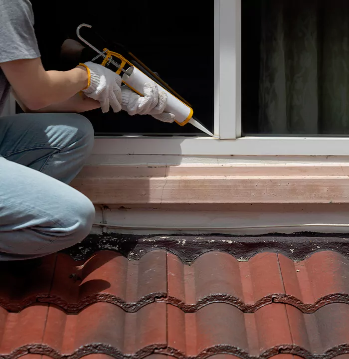 Roof Window Services in St. Petersburg, Florida