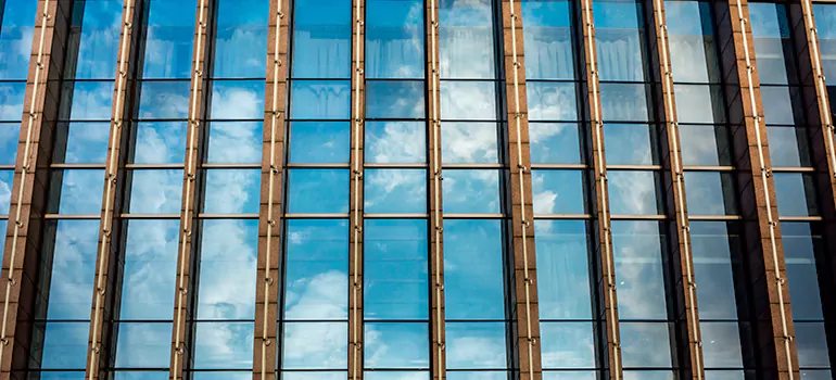 Professional Window Tinting Services in St. Petersburg, FL