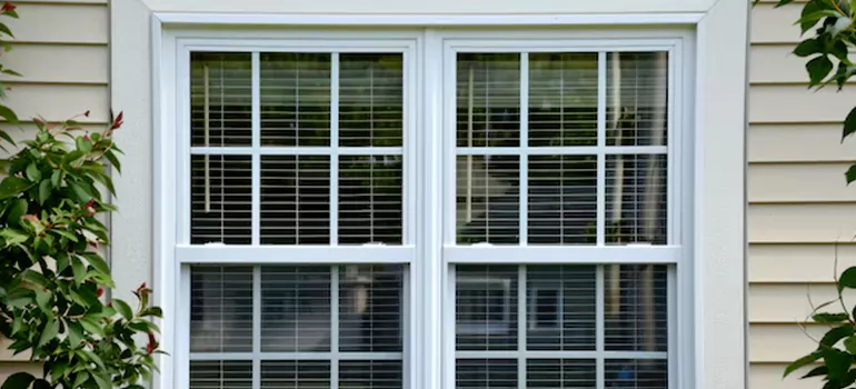 Custom Double Hung Windows in St. Petersburg, FL