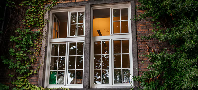 Energy Efficient Wood Windows in St. Petersburg, FL