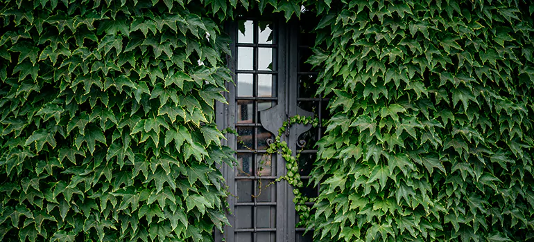 Garden Gate Repair in St. Petersburg, FL