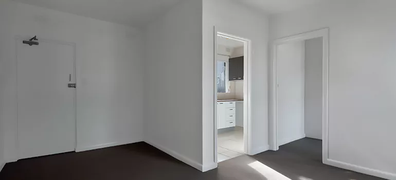 Dark Interior Doors in St. Petersburg, FL