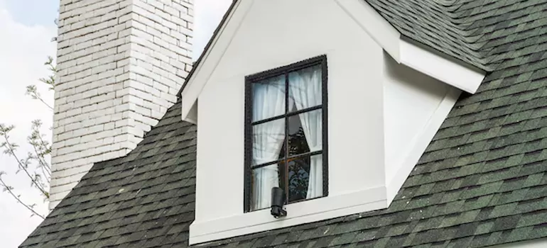 Roof Window Repair in St. Petersburg, FL