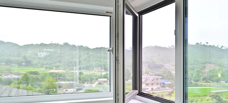 Large Triple Pane Windows in St. Petersburg, FL