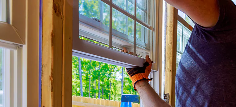 Decorative Window Film Services in St. Petersburg, FL