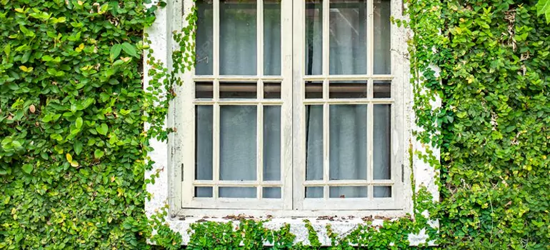 Garden Window Repair Near Me in St. Petersburg, FL