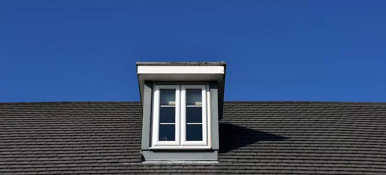 Roof Window Installation in St. Petersburg, FL