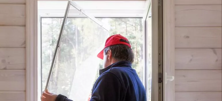 Expandable Window Screen Installation in St. Petersburg, FL