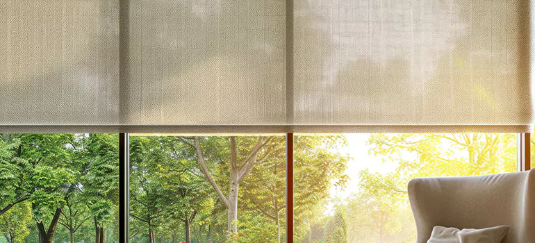 Custom Window Shades in St. Petersburg, FL