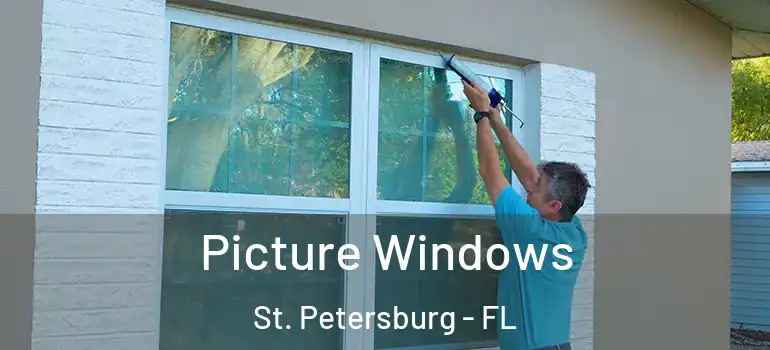  Picture Windows St. Petersburg - FL