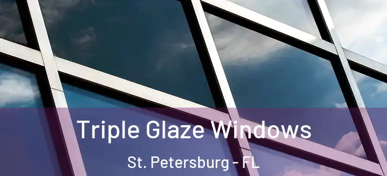  Triple Glaze Windows St. Petersburg - FL