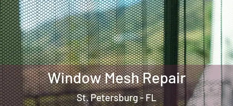  Window Mesh Repair St. Petersburg - FL